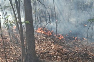 Img 20250316 Wa0042.jpg