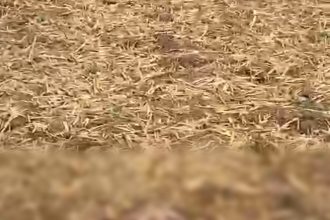 Img 20250316 154954.jpg