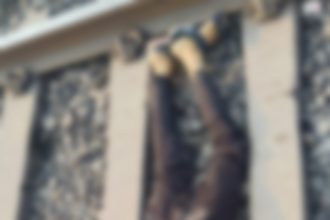 Img 20250316 172645.jpg