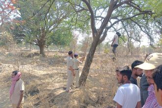 Whatsapp Image 2025 03 05 At 6.17.24 Pm.jpeg