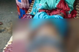 Whatsapp Image 2025 03 09 At 4.25.28 Pm.jpeg