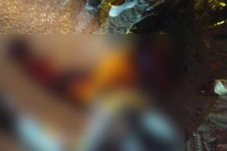 Whatsapp Image 2025 03 09 At 6.45.52 Pm.jpeg