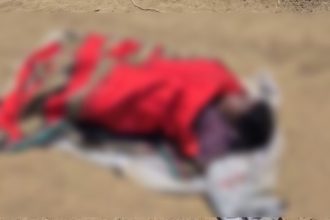 Whatsapp Image 2025 03 12 At 3.36.34 Pm.jpeg