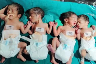 Whatsapp Image 2025 03 19 At 12.24.18 Pm.jpeg