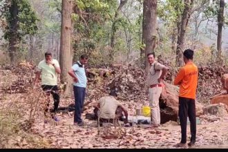 Whatsapp Image 2025 03 19 At 4.58.52 Pm.jpeg