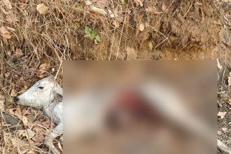 Whatsapp Image 2025 03 19 At 6.05.59 Pm.jpeg