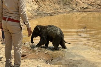 Whatsapp Image 2025 03 30 At 12.03.37 Pm 1024x768.jpeg