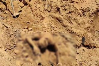 Whatsapp Image 2025 03 30 At 7.46.31 Pm.jpeg