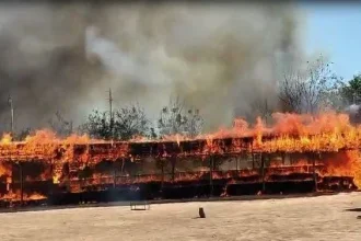 News Image 174125800606 03 2025 16 16 46.webp.webp