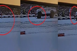 News Image 174176688412 03 2025 13 38 04.webp.webp