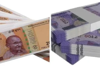 News Image 174193488714 03 2025 12 18 07.webp.webp