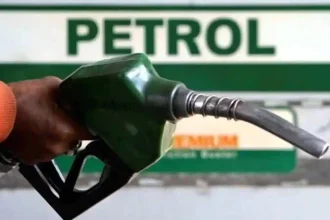 4492040 Untitled 23 Copy.webp.webp