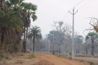 4493644 Untitled 47 Copy.webp.webp