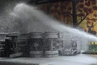 4494046 Untitled 24 Copy.webp.webp