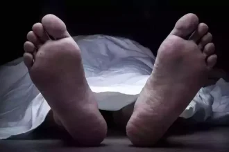 4513979 Untitled 33 Copy.webp.webp