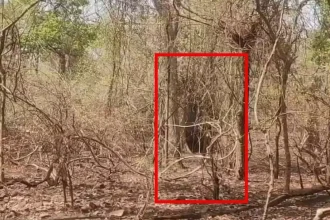 4515458 Untitled 5 Copy.webp.webp