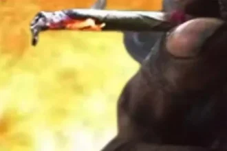 4523755 Vis.webp.webp