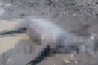 4534879 Untitled 17 Copy.webp.webp