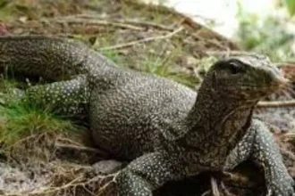 4536960 Untitled 22 Copy.webp.webp