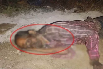 4539062 Untitled 55 Copy.webp.webp