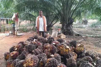 4548475 Untitled 18 Copy.webp.webp