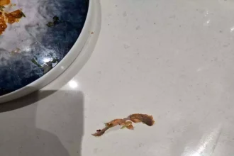 4548695 Untitled 60 Copy.webp.webp