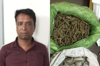 Img 20250402 Wa0256.jpg