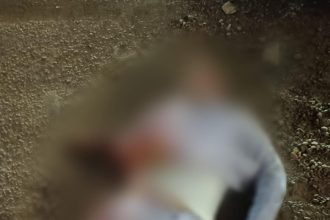 Img 20250409 Wa0287.jpg