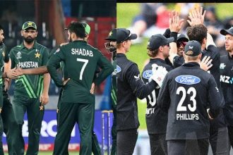 Pakistan Vs New Zealand.jpg