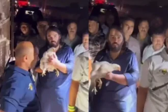 News Image 174351257401 04 2025 18 32 54.webp.webp