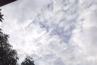 4569595 Untitled 6 Copy.webp.jpeg