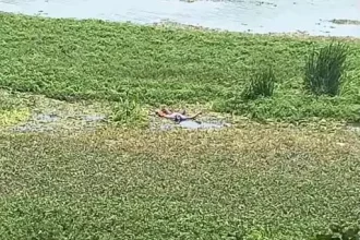 4579048 Untitled 35 Copy.webp.webp