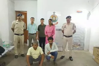 4586375 Untitled 23 Copy.webp.webp