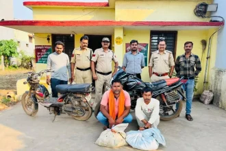 4588066 Untitled 1 Copy.webp.webp