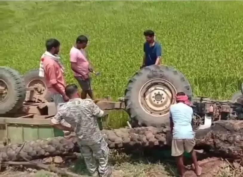 4588494 Untitled 38 Copy.webp.webp