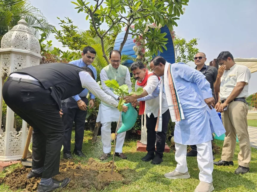 4589204 Untitled 20 Copy.webp.webp