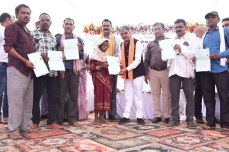 4596165 Untitled 27 Copy.webp.webp