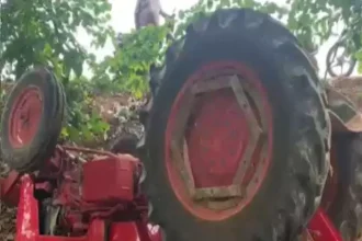 4599988 Untitled 15 Copy.webp.webp