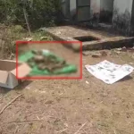 4601091 Untitled 2 Copy.webp.webp