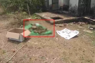 4601091 Untitled 2 Copy.webp.webp