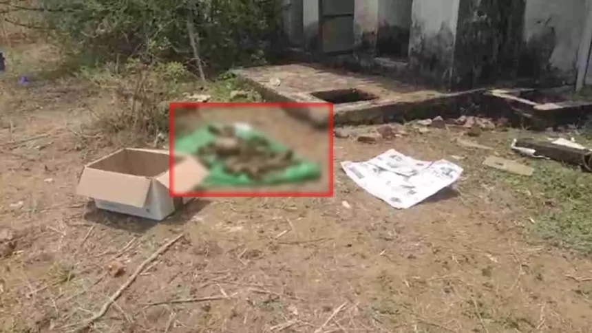 4601091 Untitled 2 Copy.webp.webp