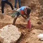 4604231 Untitled 11 Copy.webp.webp