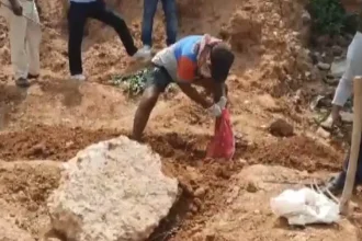 4604231 Untitled 11 Copy.webp.webp