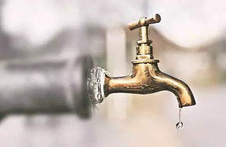 4604525 Untitled 21 Copy.webp.webp