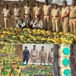 4606572 Untitled 18 Copy.webp.webp