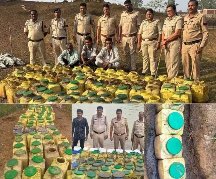 4606572 Untitled 18 Copy.webp.webp