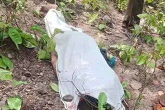 4606801 Untitled 59 Copy.webp.webp