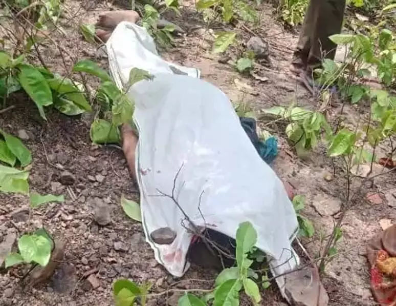 4606801 Untitled 59 Copy.webp.webp