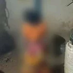 4608413 Saa.webp.webp