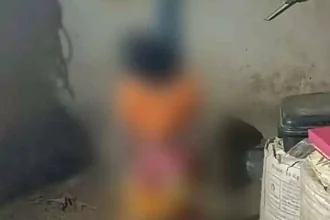 4608413 Saa.webp.webp